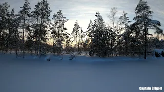 ЗИМНИЙ ЛЕС В 4К WINTER FOREST IN 4K