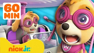 Skye de PAW Patrol vuela alto con Marshall y Chase | Compilación de 60 minutos | Nick Jr. en Español