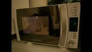 Candy CMW 7117 DW microwave