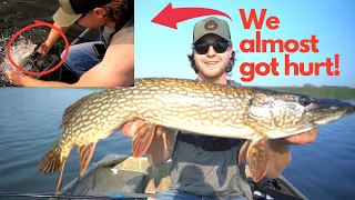 Searching for BIG Alberta Pike! WE CAUGHT GIANTS!