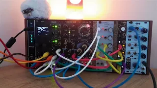 "Temporal" - 30 mins of Generative Modular Ambient