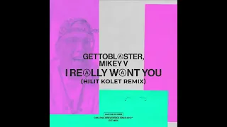 Gettoblaster, Mikey V - I Really Want You (Hilit Kolet Extended Remix) [Snatch! Records]