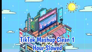 1 Hour TikTok Mashup 2021 *Clean*(Slowed)