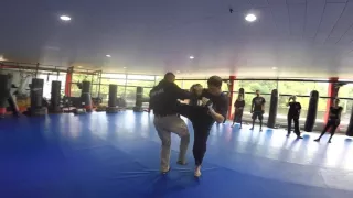 Krav Maga fighting techniques against punching and kicking attacks by Michael Rüppel