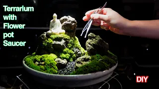 How to make a Terrarium - Terrarium with flower pot saucer