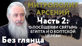 Интервью с митрополитом Арсением, часть 2. Что увидела делегация монашествующих УПЦ в Египте?