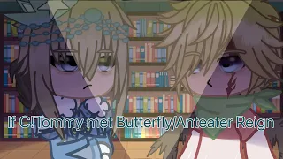 If c!tommy met Butterfly/anteater reign part 1