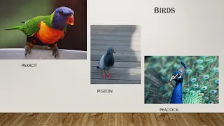 Birds || Science || Lesson 3 || Class 3