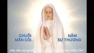 Chuỗi Kinh Mân Côi - NĂM SỰ THƯƠNG