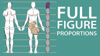 Mastering Human Proportions: The Art of 8-Head Height Drawing