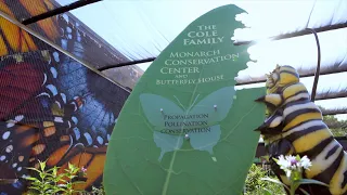 The Cole Family Monarch Conservation Center and Butterfly House