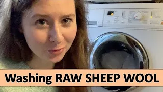 How To WASH Raw Sheep Wool In The Washing Machine? | Sheep Wool Into Yarn For Making Socks PART 2