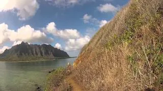 Rex Vs Chinaman's Hat