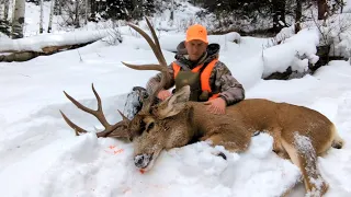 MAJESTIC - Late Season Mule Deer Hunt