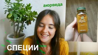 СПЕЦИИ по аюрведе/ Почему они нам необходимы ?/ Куркума, и мои любимые специи