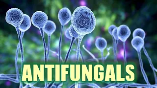 Antifungals (update 2021) - CRASH! Medical Review Series