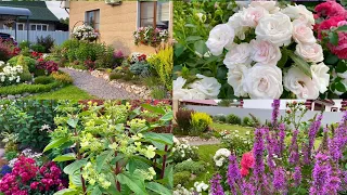 Цветочная феерия в моём  цветнике/ Вереск не подвёл/ ставлю черенки/ 🥀🌿🌺👒