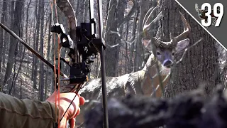 TWO BIG BUCKS INSIDE OF 10 YARDS! - Big Timber Whitetails!