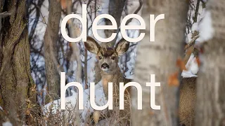 Deer Hunt