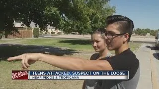 Teens attacked near Pecos, Tropicana