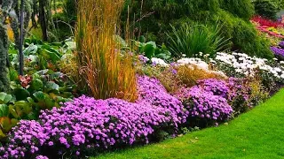 Декор дачного участка Идеи для воплощения / The best design solutions for your garden