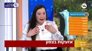 ח"כ טלי גוטליב במתקפה: נתניהו מדשדש ואני היחידה שאומרת לו - 'תתעורר'