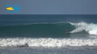 Beautiful Playa Guiones, Nosara, Costa Rica | Best Waves of January | Corky Carroll's Surf School