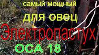 Электропастух ОСА 18 установка жизнь в деревне