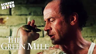 The Best of The Mouse On The Mile (Mr. Jingles) | The Green Mile (1999) | Screen Bites