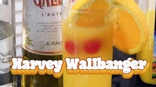 Harvey Wallbanger Recipe - TheFNDC.com