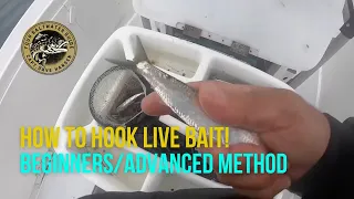 How To Hook LIVE Bait (Fishing Beginner/Advanced Method)