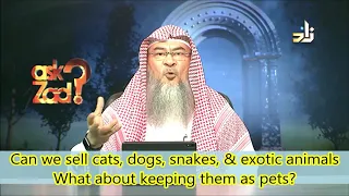 Can we sell cats, dogs, snakes, & exotic animals, what about keeping them as pets? | AssimAlHakeem