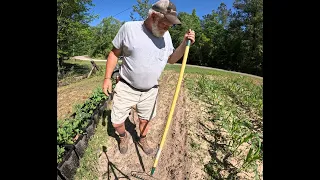 Planting Okra, Tying Tomatoes, And Going Fishing!