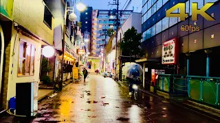 [4K] A rainy afternoon walk through backstreets in Ota-Ku, Tokyo. ASMR 雨の日大田区東京 (Part 2)