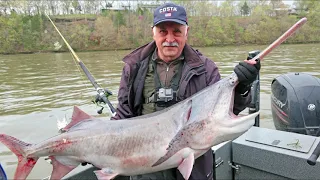 Paddlefish  Рыбалка на Веслоноса