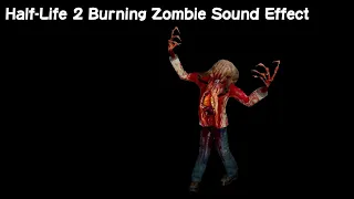 Half-Life 2 Burning Zombie Sound Effect