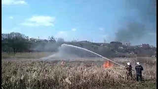 Пожежі в екосистемах не вщухають