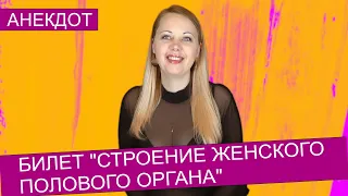 Анекдот про майора в отставке который решил учиться.