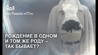 Рождение в одном и том же роду – так бывает?