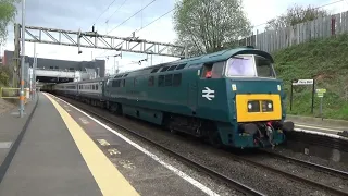 D1015 Western Champion Returns To The Mainline | The One Way Wizzo at Perry Barr 14/4/24