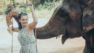 Wild Elephant encounter in Chai Lai, Thailand 🇹🇭 country 82/196