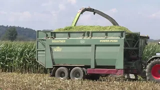 Lu Hannes Hauptmann bei Silieren von Mais für Biogasanlage IKT Hainersdorf mit Claas Jaguar 970 V8 P