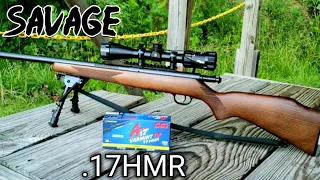 Savage 93R17 .17HMR Review & Shoot AccuTrigger