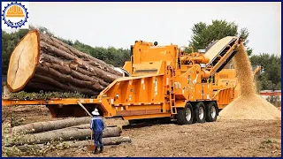 30 Dangerous Fastest Wood Chipper and Wood Crusher
