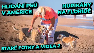 Hlídání psů v Americe! Jak jsme žili v USA před karavanem? Fotky, které jsme nikdy neukázali! 2