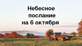 Волшебное послание на 6 октября. Любовь к себе.