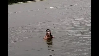 Плаваю в реке.