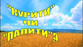 27. «Курити цигарки» чи «Палити цигарки»?