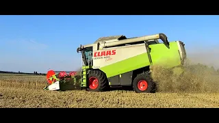 Żniwa 2018 Mazowsze. Pszenica. Claas Lexion 420 Evolution