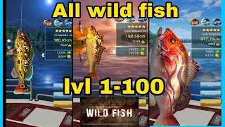 ALL wild fish lvl 1-100 fishing hook hook fishing line